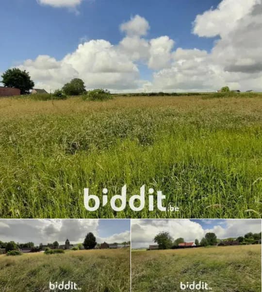 Development site in public sale