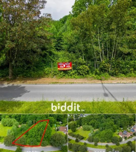 Land in public sale