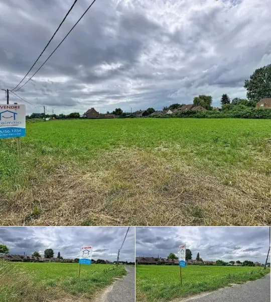 Farmland for sale