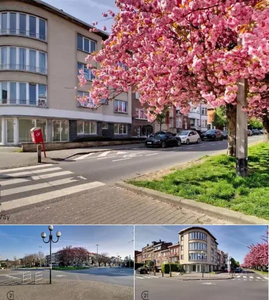 Commercial building for rent