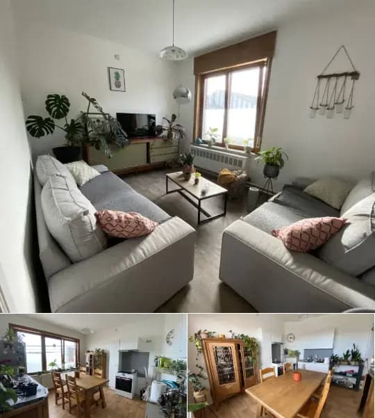 Apartment for rent