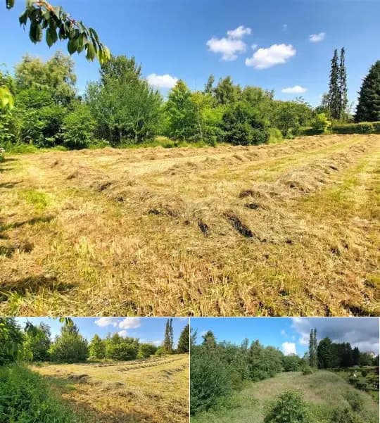 Land for sale