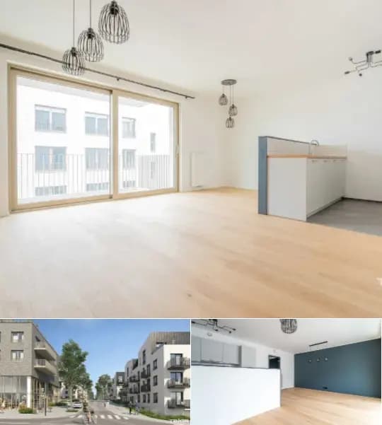 Apartment for rent (New construction project)