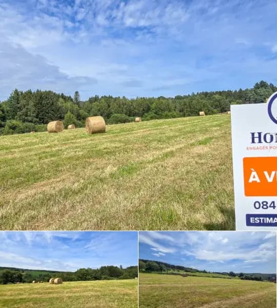 Land for sale