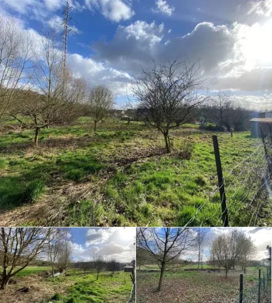Land for sale