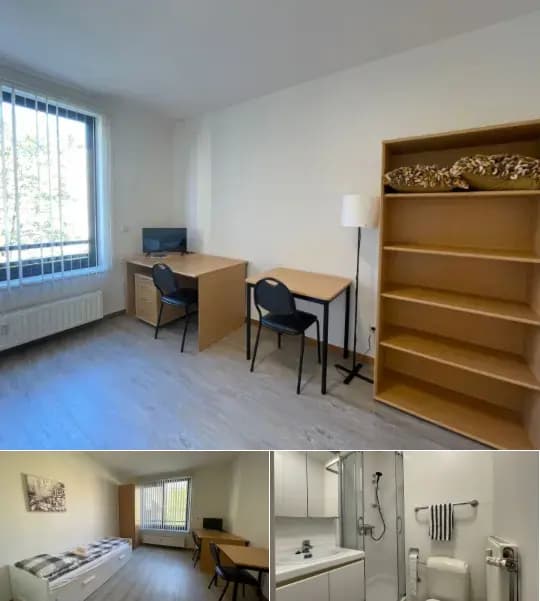 Studio for rent