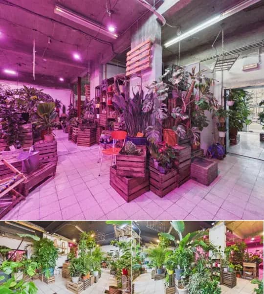 Commercial building for rent