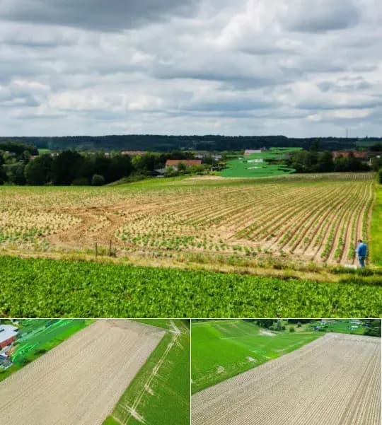 Land for sale