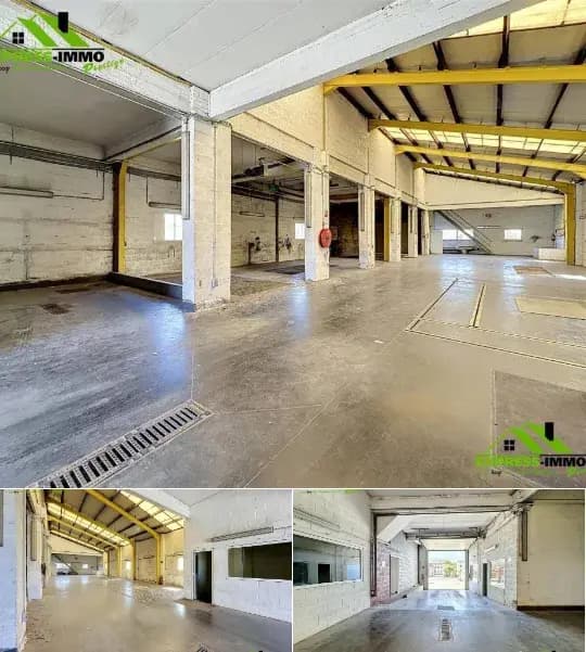 Industrial building for rent