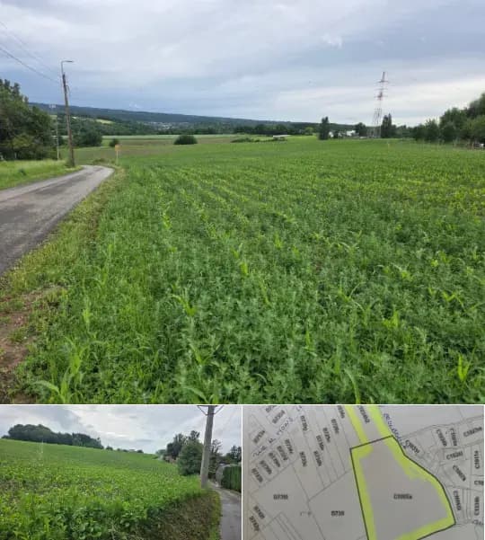 Farmland for sale