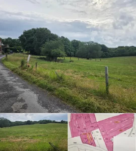 Farmland for sale