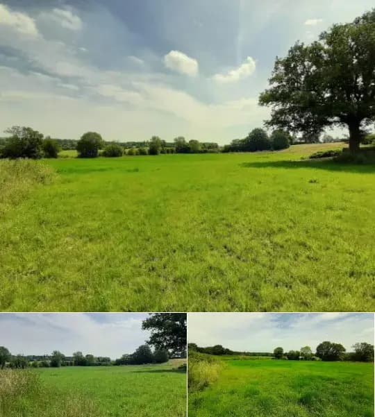 Land for sale