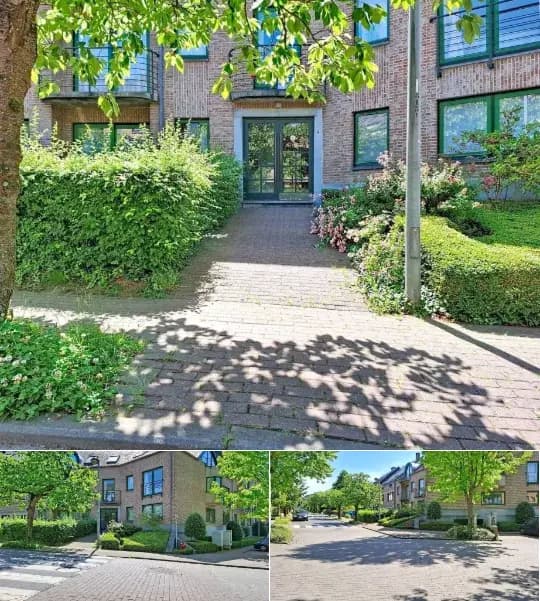 Triplex for rent