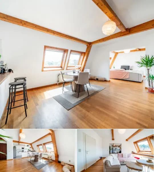 Penthouse for sale