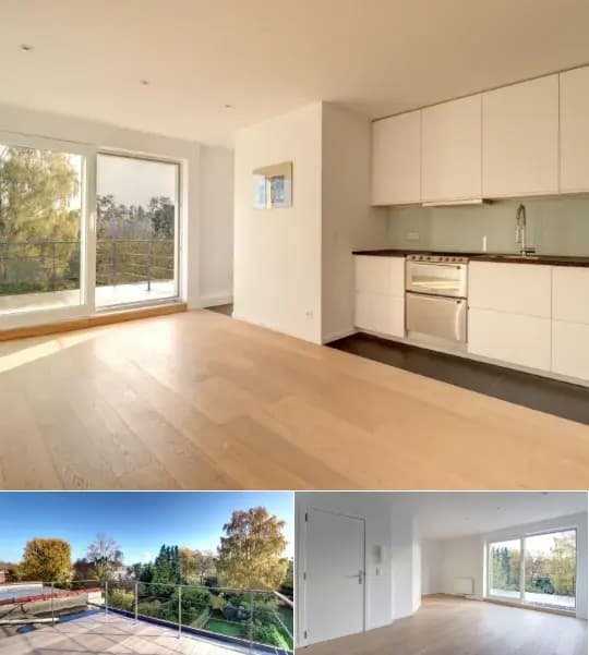 Penthouse for rent