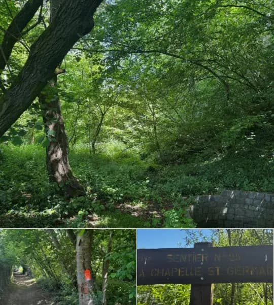 Farmland for sale