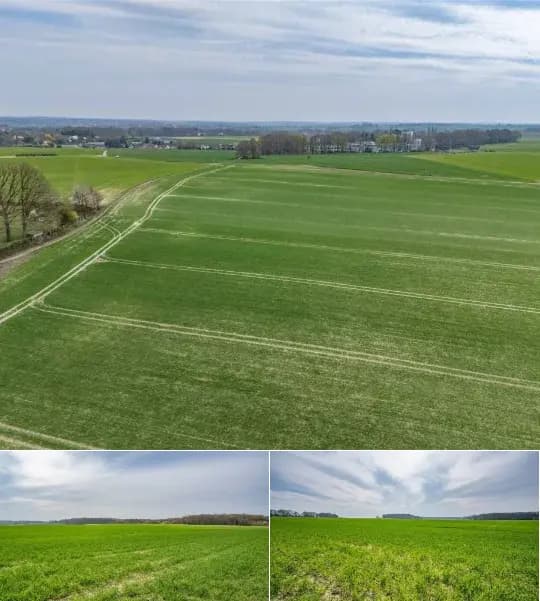 Farmland for sale