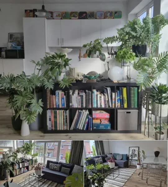 Apartment to share
