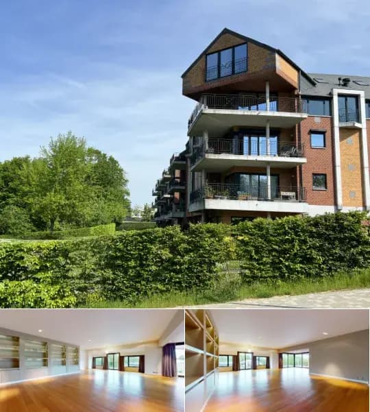 Penthouse for rent