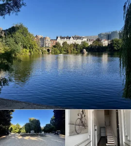 Apartment for rent