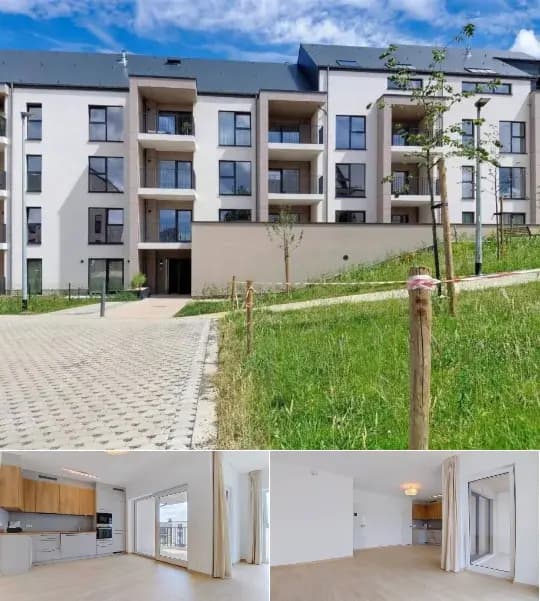 Apartment for rent