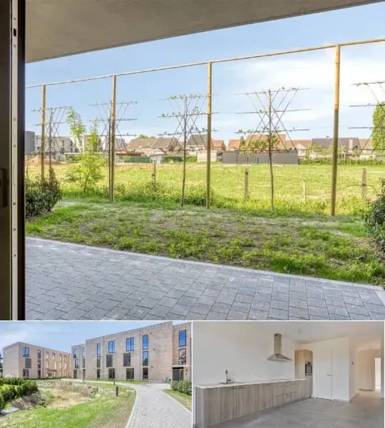 Apartment for rent (New construction project)