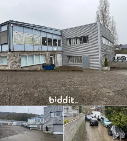 Industrial building in public sale