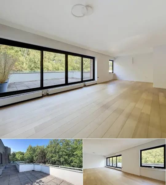 Penthouse for rent