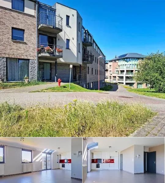 Apartment for rent