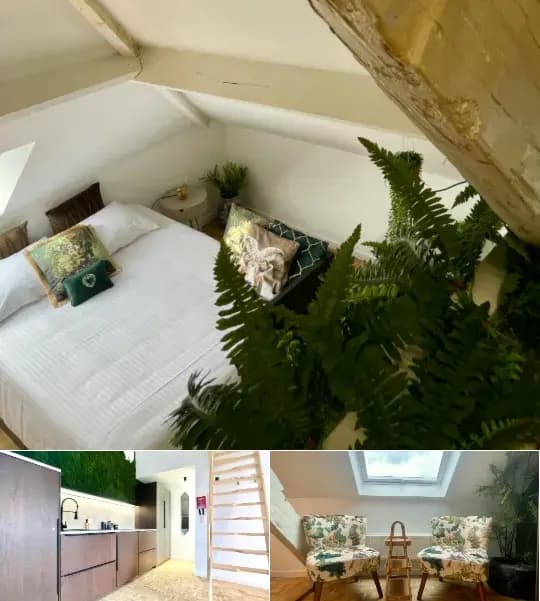 Apartment for rent