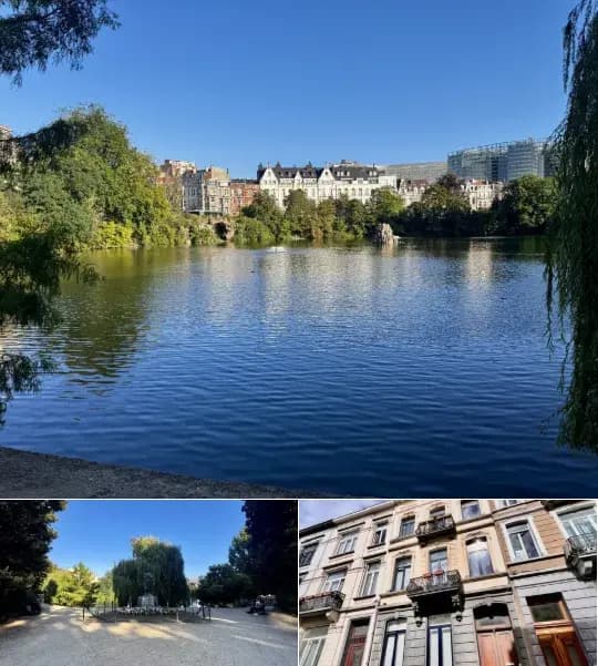 Apartment for rent