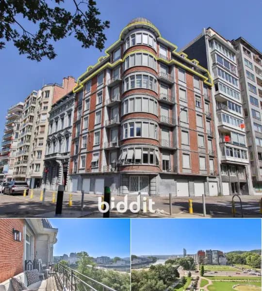 Duplex in public sale