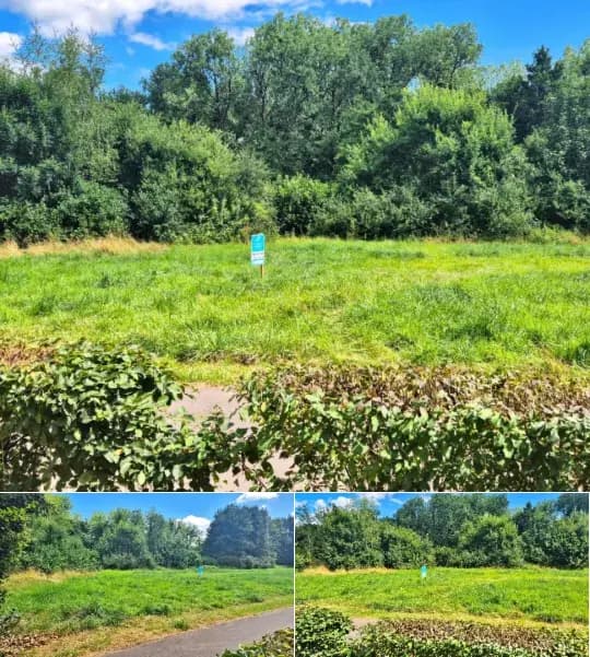 Development site for sale