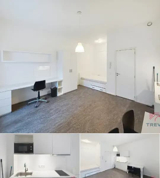 Studio for rent