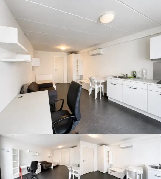 Studio for rent