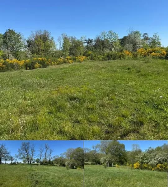 Farmland for sale