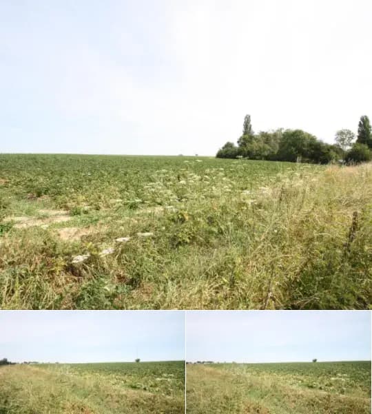 Land for sale