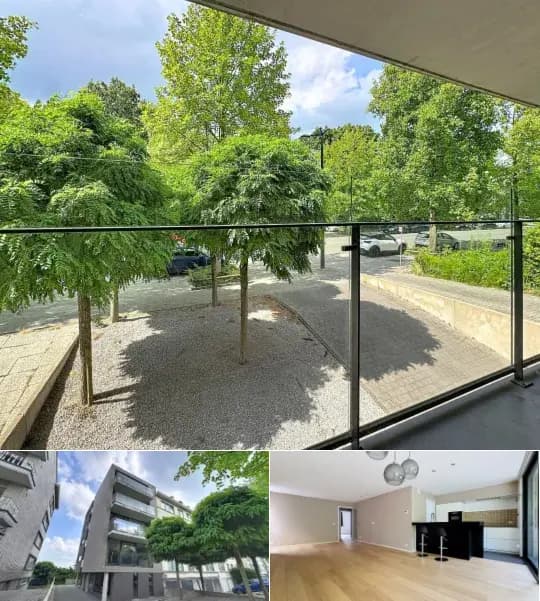 Apartment for rent