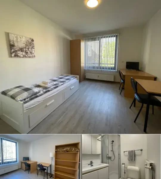 Studio for rent