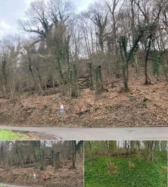 Land for sale