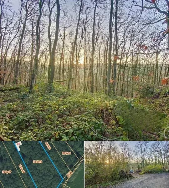 Land for sale