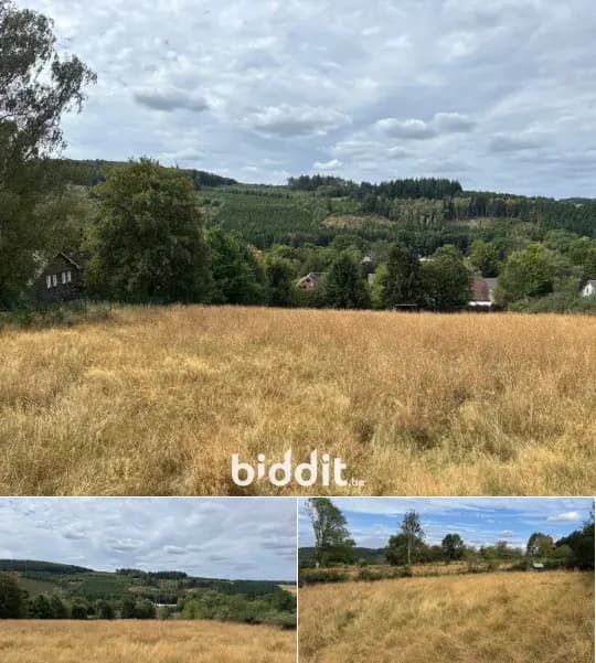 Land in public sale