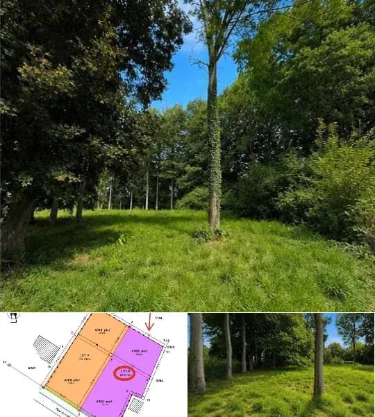 Land for sale