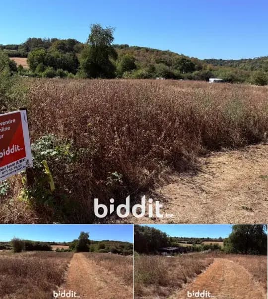 Farmland in public sale