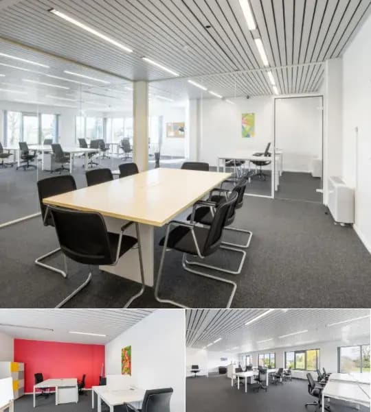 Business surface for rent