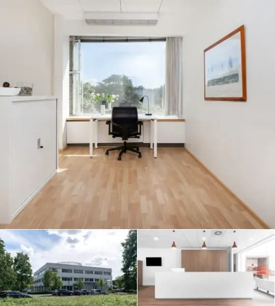 Business surface for rent