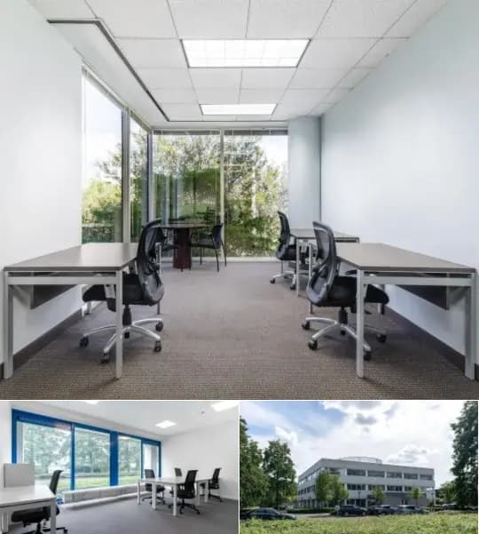 Business surface for rent