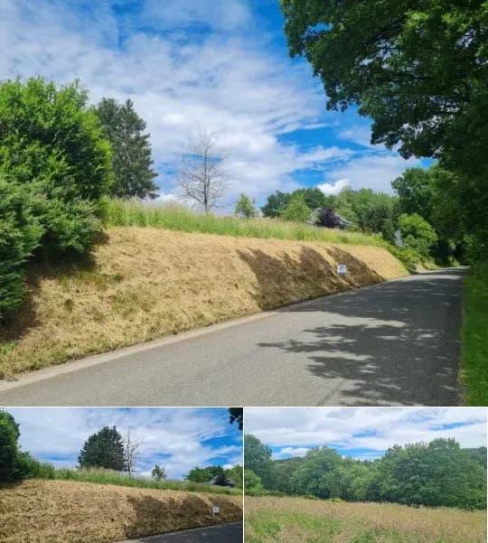 Development site for sale