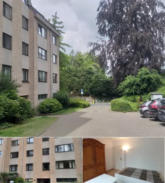 Apartment for rent