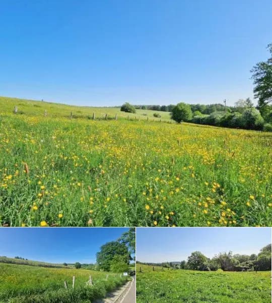 Development site for sale